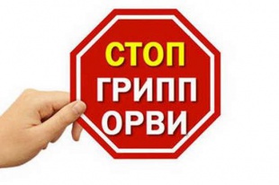 Профилактика острых респираторных инфекций